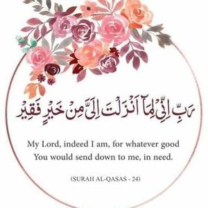 Meet your Posher, Sameena